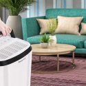 What Size Dehumidifier Do I Need For My Home?