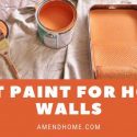 Best Paint For Home Walls