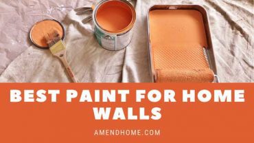 5 Best Paint For Home Walls in 2024
