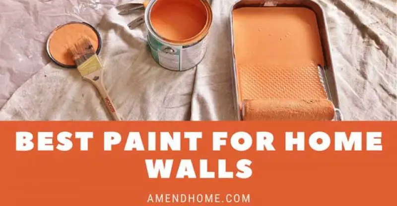 Best Paint For Home Walls