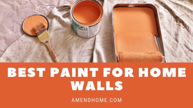 5-best-paint-for-home-walls-in-2024-amend-home