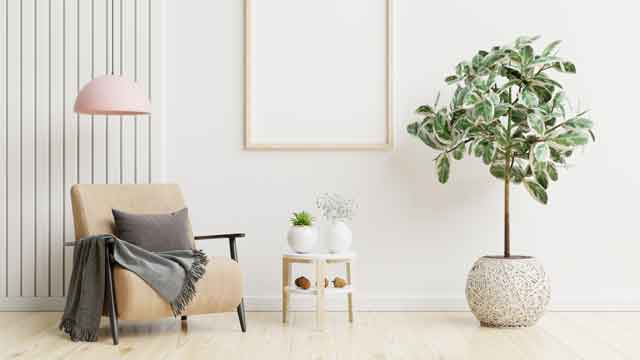 a-paint-guide-what-is-the-most-popular-color-for-interior-walls