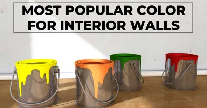 A Paint Guide: What is the Most Popular Color for Interior Walls