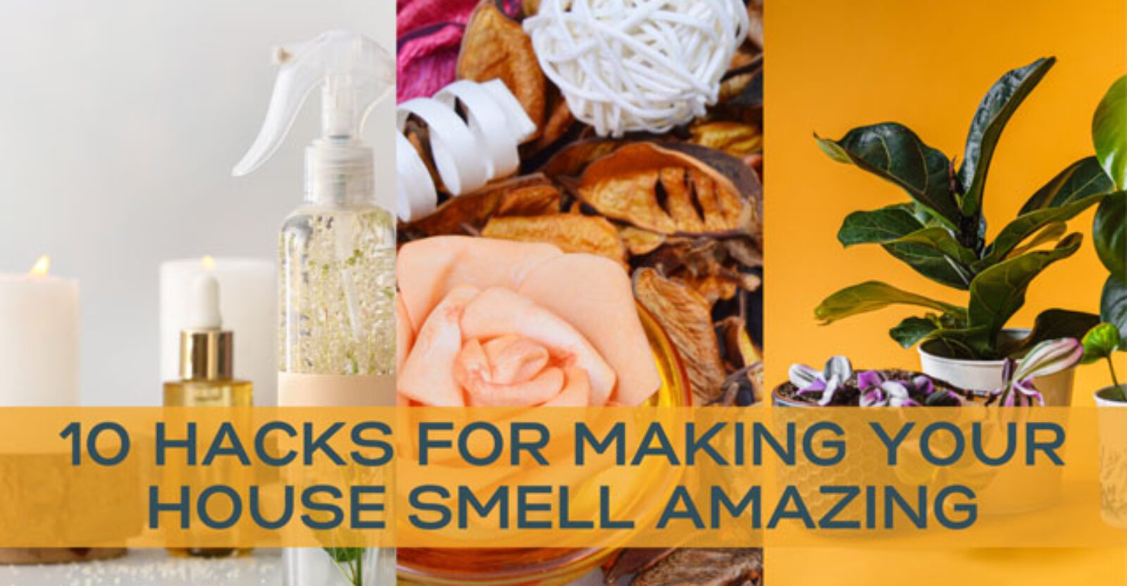 10 Hacks for Making your House Smell Amazing