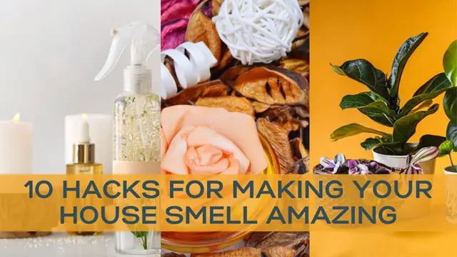 10 Hacks For Making Your House Smell Amazing 5569