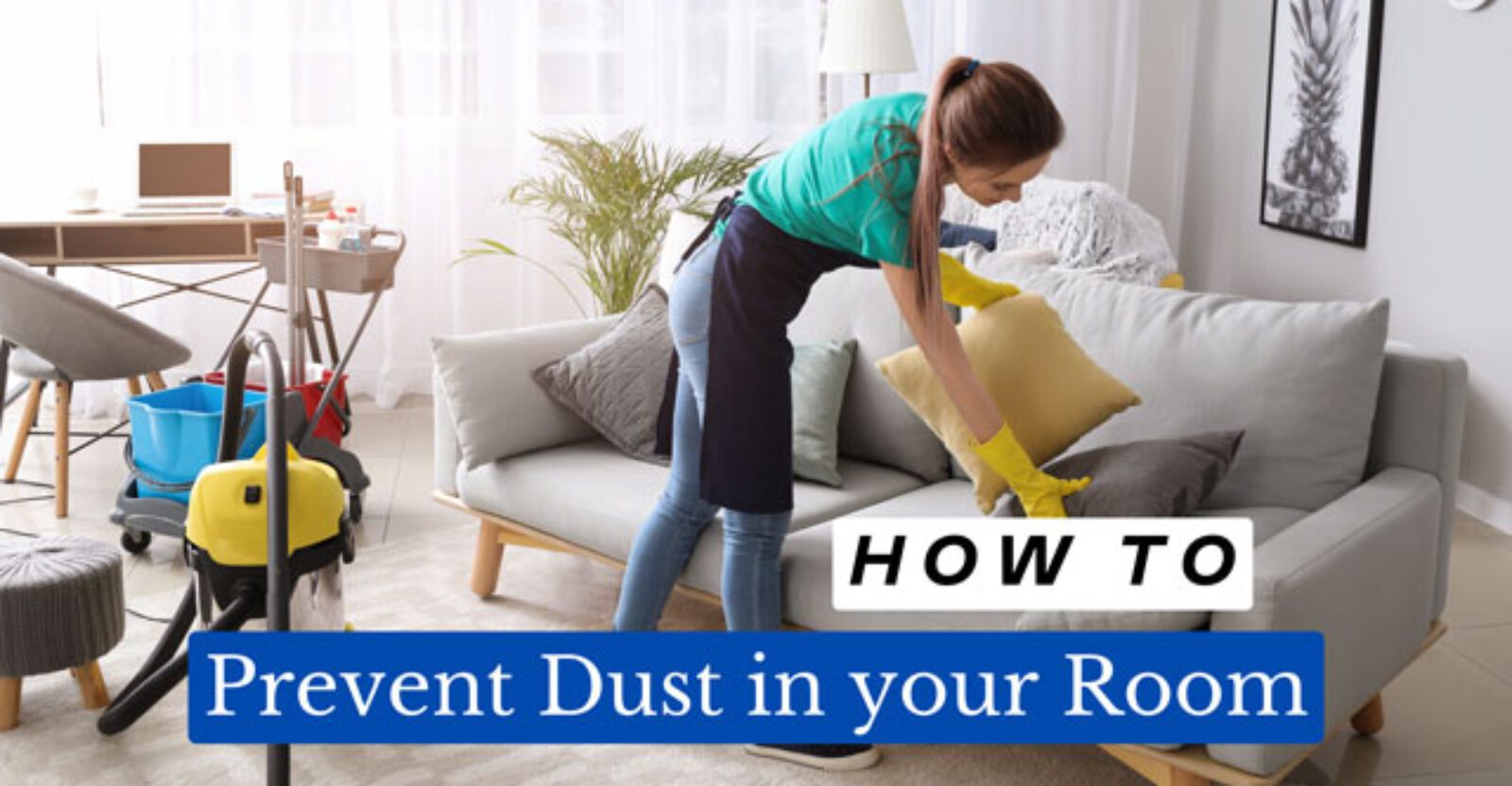 How to Prevent Dust in Your Room? Amend Home