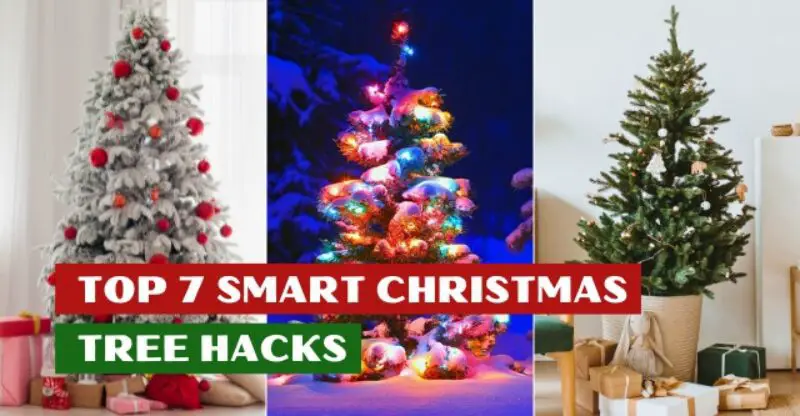 7 Smart Christmas Tree Hacks: Tips and Tricks for the Perfect Tree