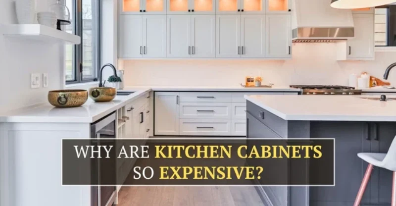 Why Are Kitchen Cabinets So Expensive? (Tips to Cut Costs)